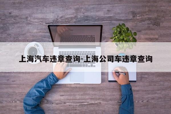 上海汽车违章查询-上海公司车违章查询