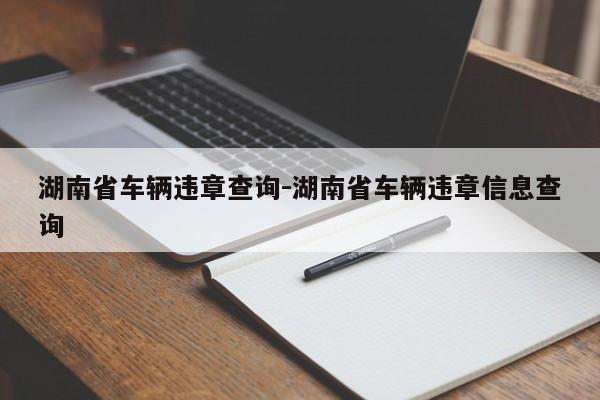 湖南省车辆违章查询-湖南省车辆违章信息查询