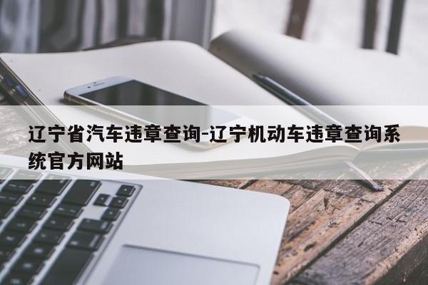 辽宁省汽车违章查询-辽宁机动车违章查询系统官方网站