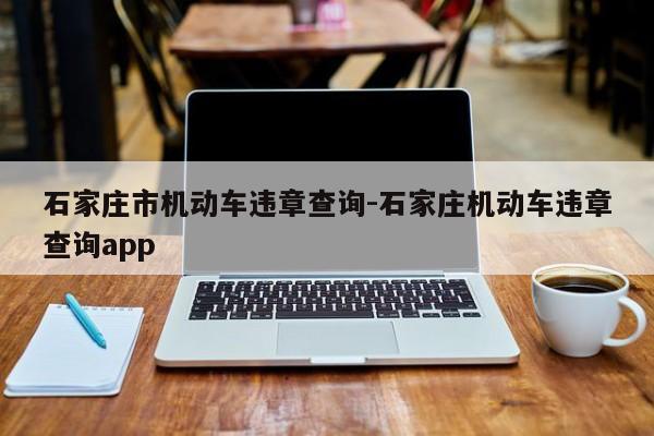 石家庄市机动车违章查询-石家庄机动车违章查询app