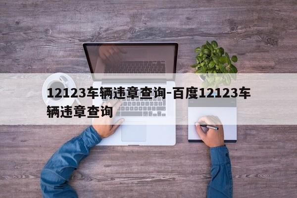 12123车辆违章查询-百度12123车辆违章查询