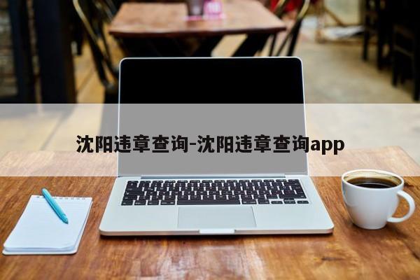 沈阳违章查询-沈阳违章查询app