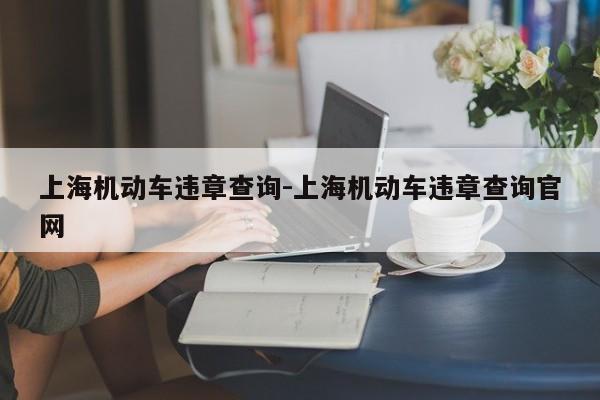 上海机动车违章查询-上海机动车违章查询官网