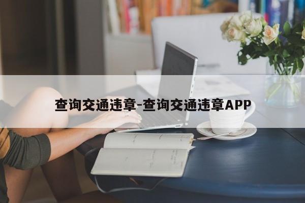 查询交通违章-查询交通违章APP